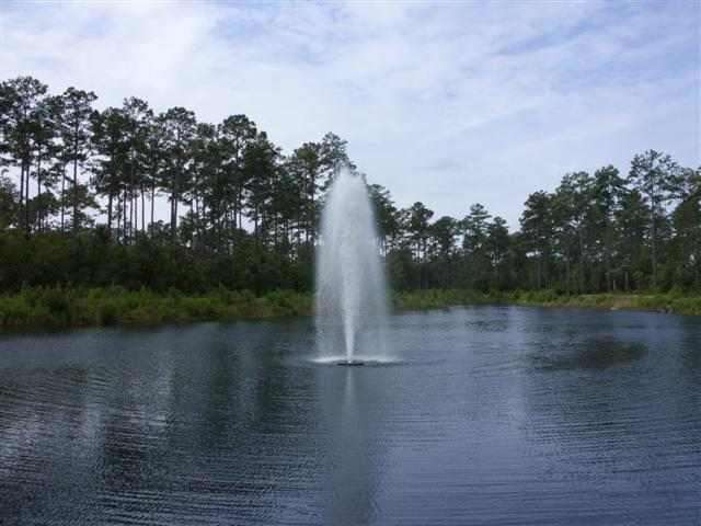 Lot 47 Low Country Loop Murrells Inlet, SC 29576 - Photo 5 of 6