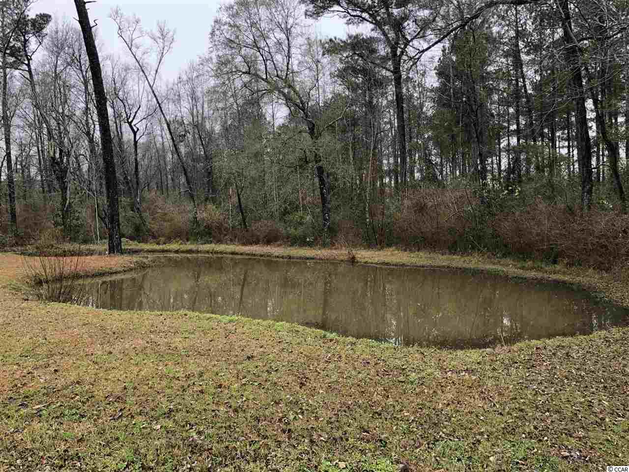 2600 Red Bluff Road Loris, SC 29569 - Photo 2 of 30 Gallery Image 2