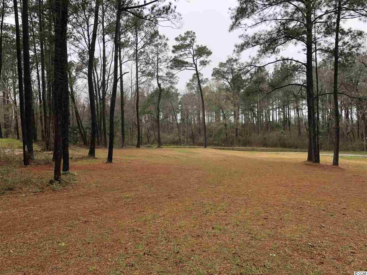 2600 Red Bluff Road Loris, SC 29569 - Photo 12 of 30 Gallery Image 12