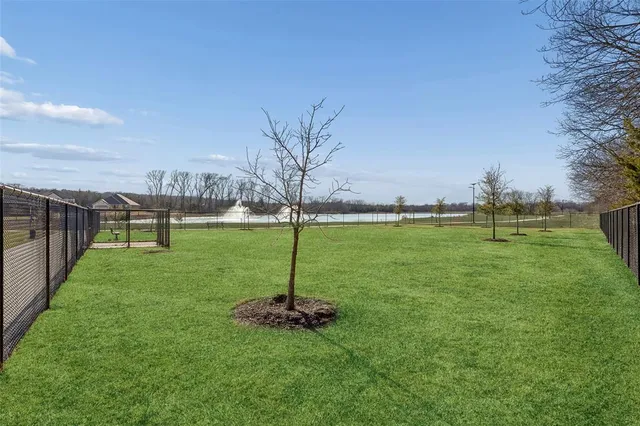 a view of a garden with a slide