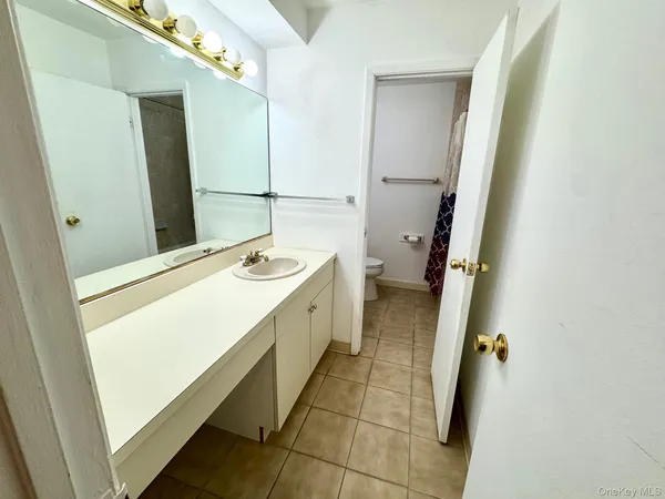a bathroom with a sink a toilet and a mirror