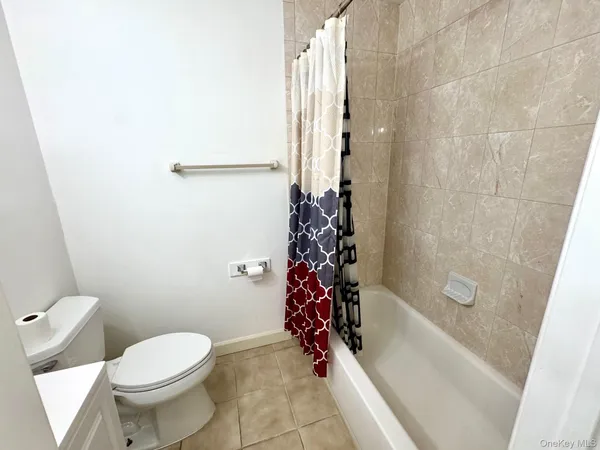 a bathroom with a toilet and a bathtub