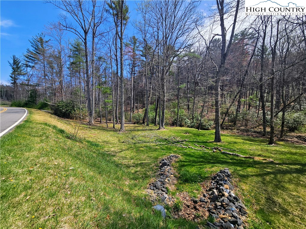 Ebenezer Road Jefferson, NC 28640 - Photo 15 of 23 Gallery Image 15