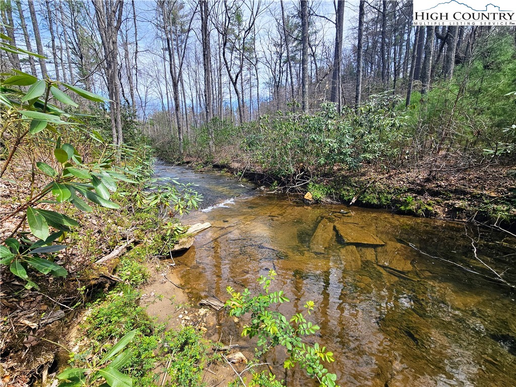 Ebenezer Road Jefferson, NC 28640 - Photo 17 of 23 Gallery Image 17