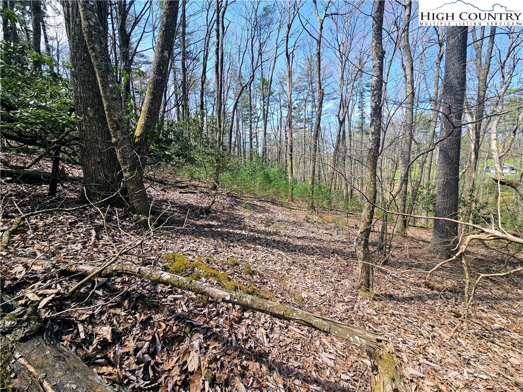 Ebenezer Road Jefferson, NC 28640 - Photo 20 of 23 Gallery Image 20