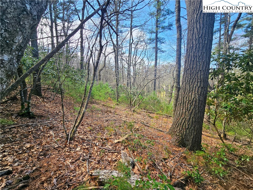 Ebenezer Road Jefferson, NC 28640 - Photo 21 of 23 Gallery Image 21