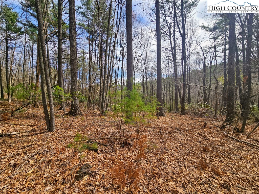 Ebenezer Road Jefferson, NC 28640 - Photo 3 of 23 Gallery Image 3