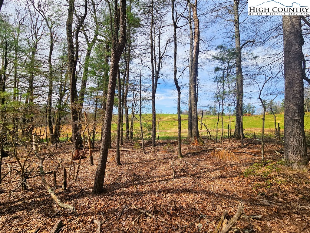 Ebenezer Road Jefferson, NC 28640 - Photo 7 of 23 Gallery Image 7