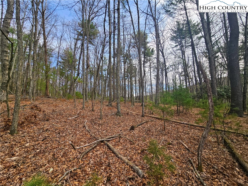Ebenezer Road Jefferson, NC 28640 - Photo 10 of 23 Gallery Image 10