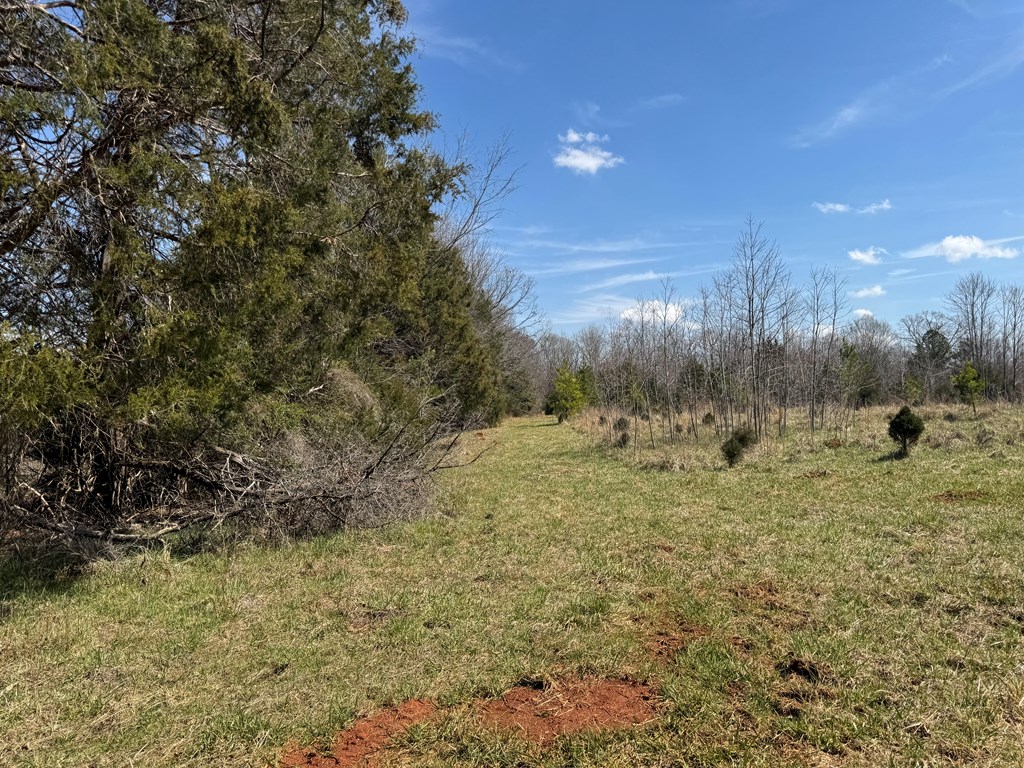 22 Stone Gate Farm Road Donalds, SC 29638 - Photo 22 of 26
