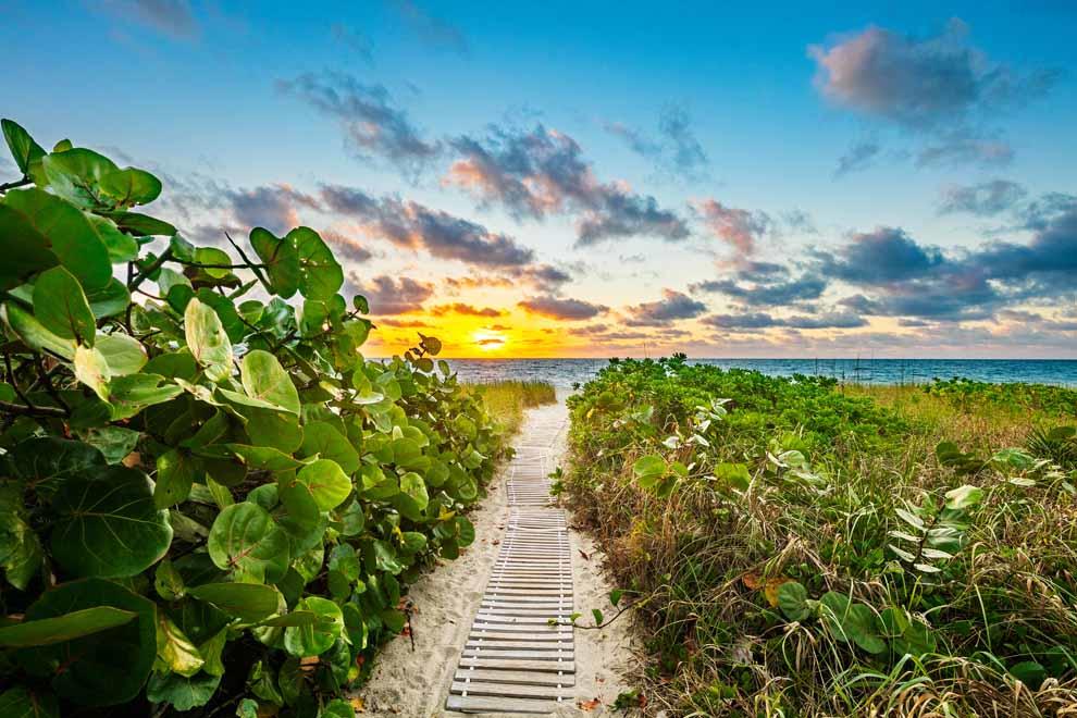 1230 North Ocean Boulevard Gulf Stream, FL 33483 - Photo 50 of 53 a view of a pathway both side of building