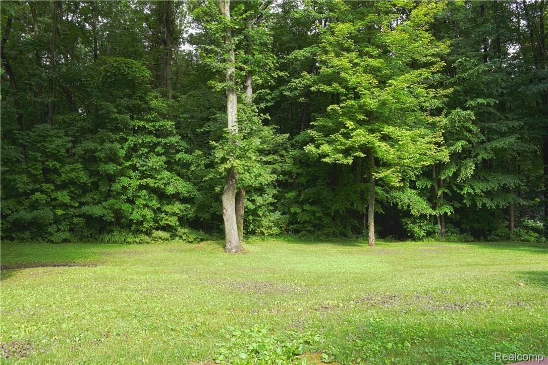 4805 Rabidue Road North Street, MI 48049 - Photo 8 of 29 BACKYARD.jpg