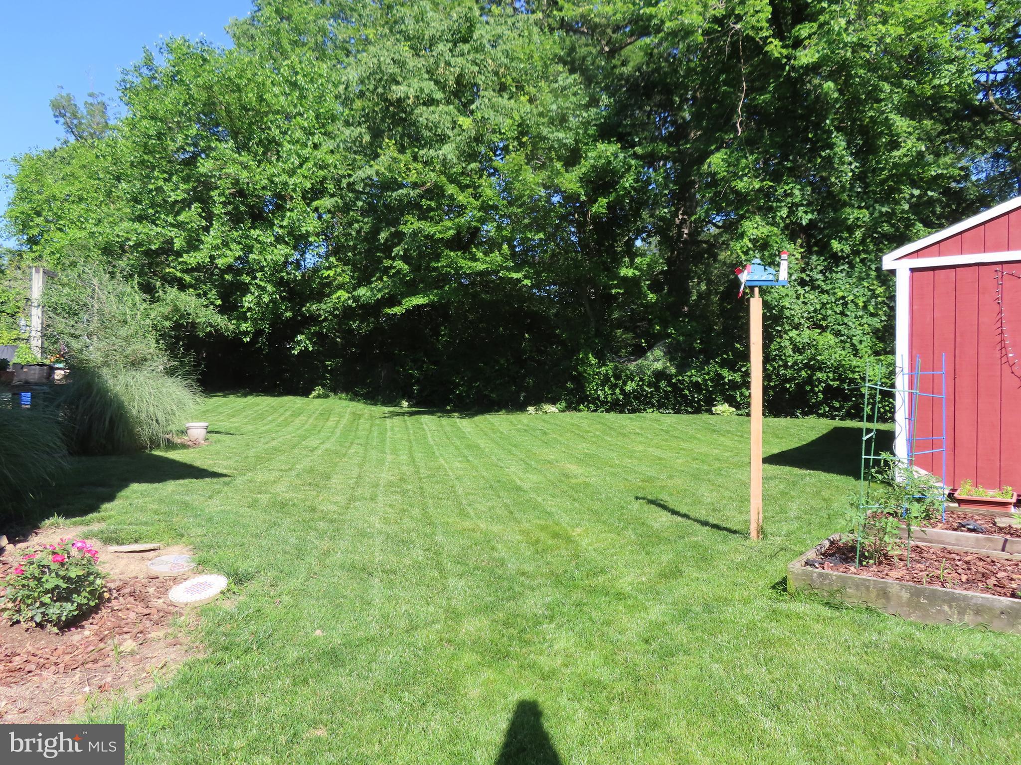 229 Manvell Road Southeast Vienna, VA 22180 - Photo 31 of 40 Privacy.........irrigated lawn!