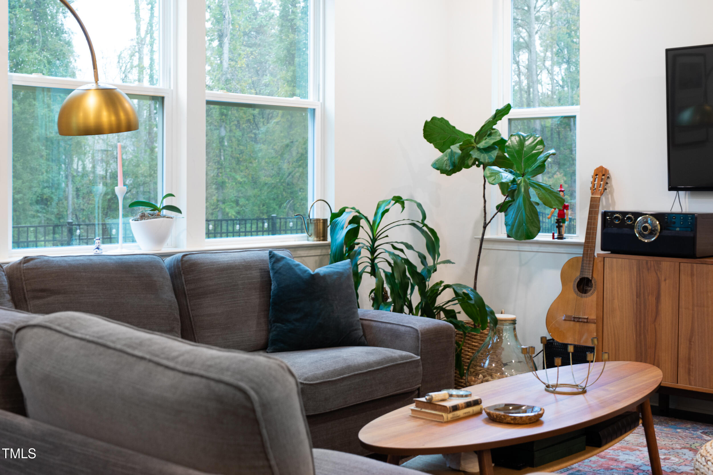 128 Rialto Street Chapel Hill, NC 27516 - Photo 14 of 44 a living room with furniture and a potted plant