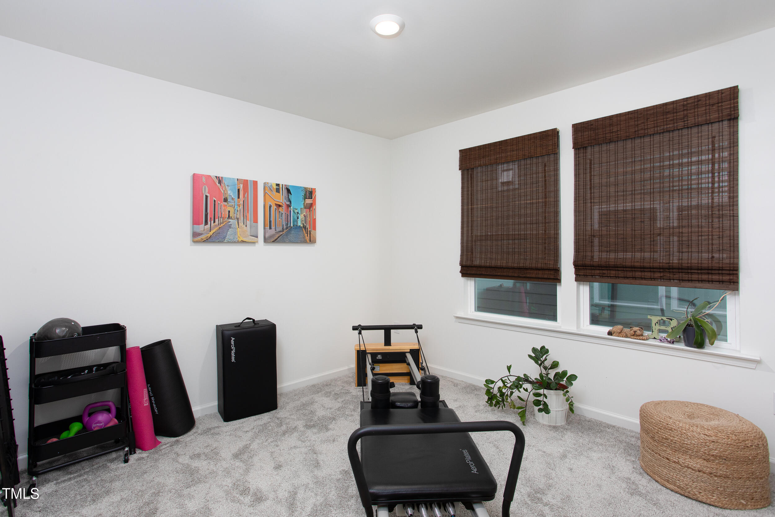 128 Rialto Street Chapel Hill, NC 27516 - Photo 33 of 44 a room with furniture and a potted plant