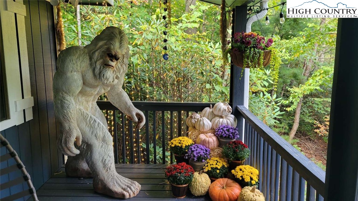 1157 Pine Ridge Road Beech Mountain, NC 28604 - Photo 23 of 25 a view of entryway with flowers