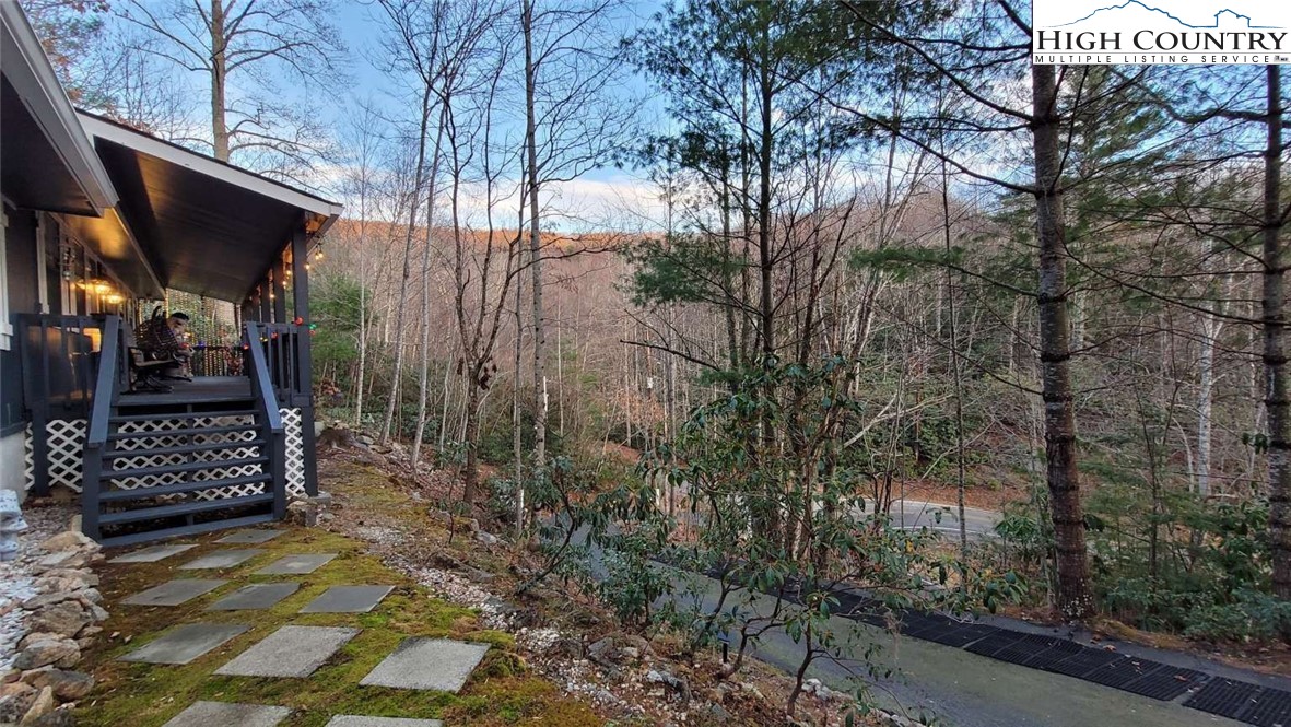 1157 Pine Ridge Road Beech Mountain, NC 28604 - Photo 7 of 25 a view of outdoor space and street view