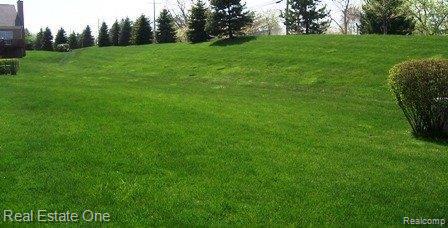 1611 Boulder Court, Unit 42 Rochester, MI 48306 - Photo 10 of 10 yard