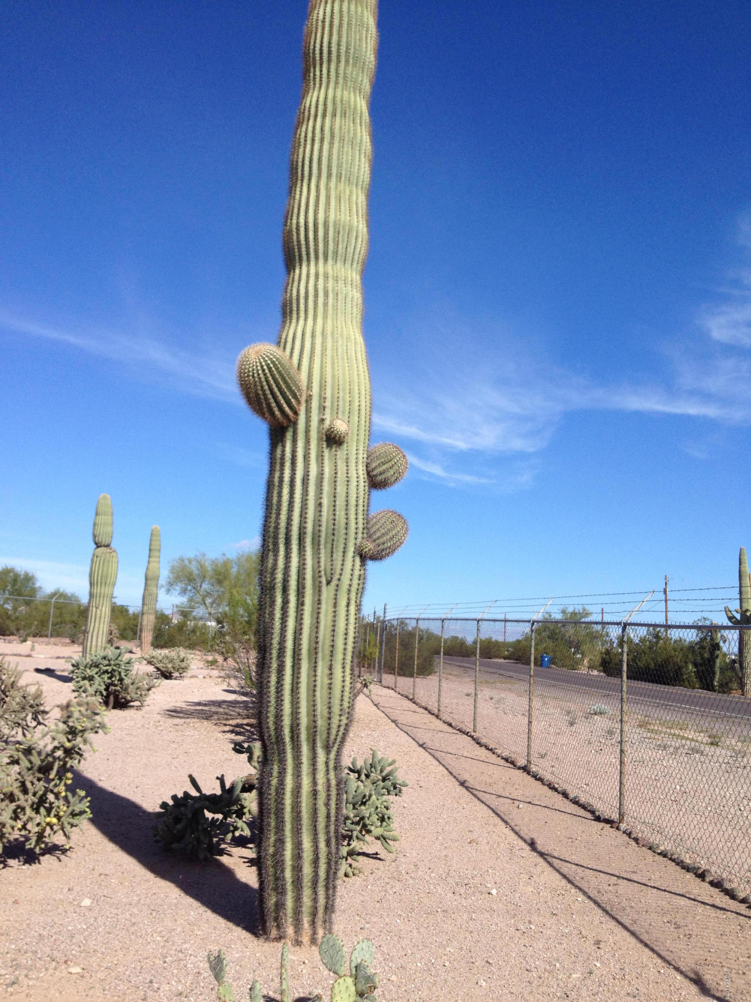 1356 South Cortez Road Apache Junction, AZ 85119 - Photo 20 of 35 2014-11-13 10