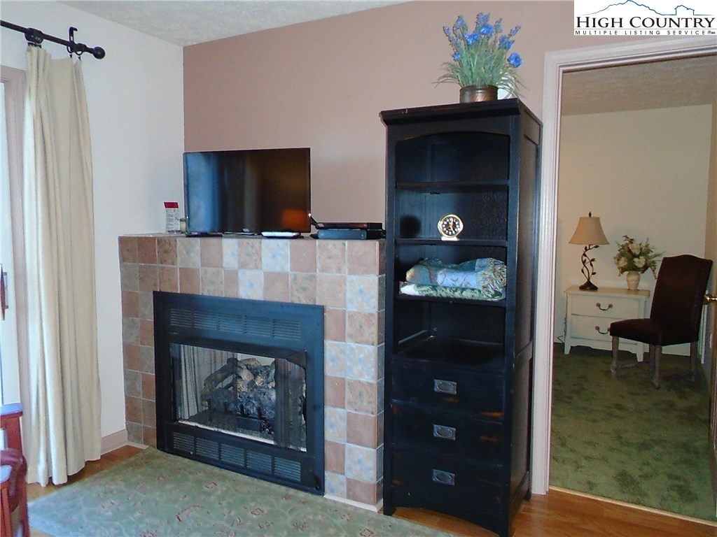 101 North Pinnacle Ridge Road, Unit A101 Beech Mountain, NC 28604 - Photo 5 of 28