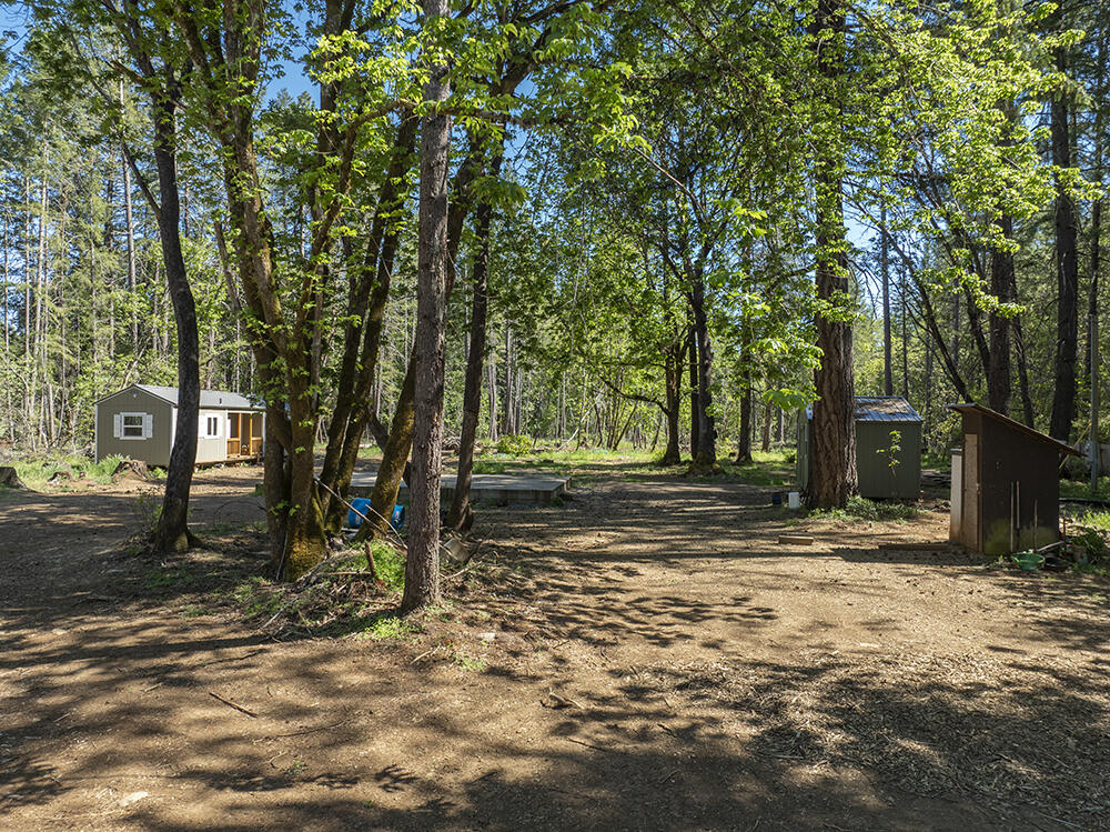 382 Garner Road Cave Junction, OR 97523 - Photo 2 of 38 a view of a out door space area