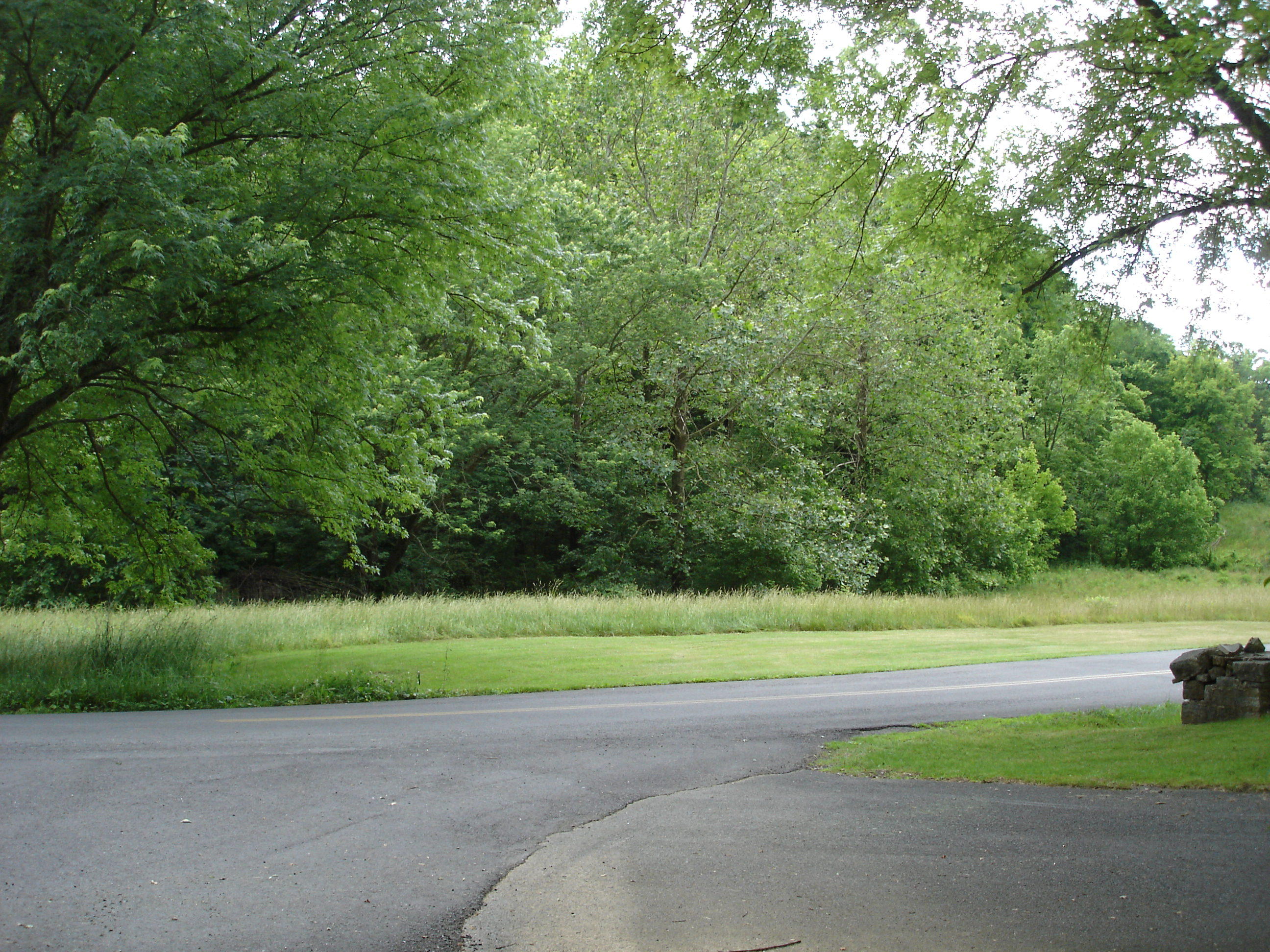 Graysburg Hills Road Chuckey, TN 37641 - Photo 3 of 4 2015-06-03 13.52.05