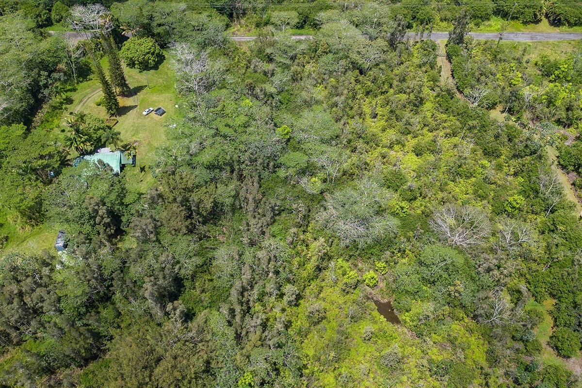 17 40th Avenue Keaau, HI 96749 - Photo 14 of 14 a view of a lush green forest