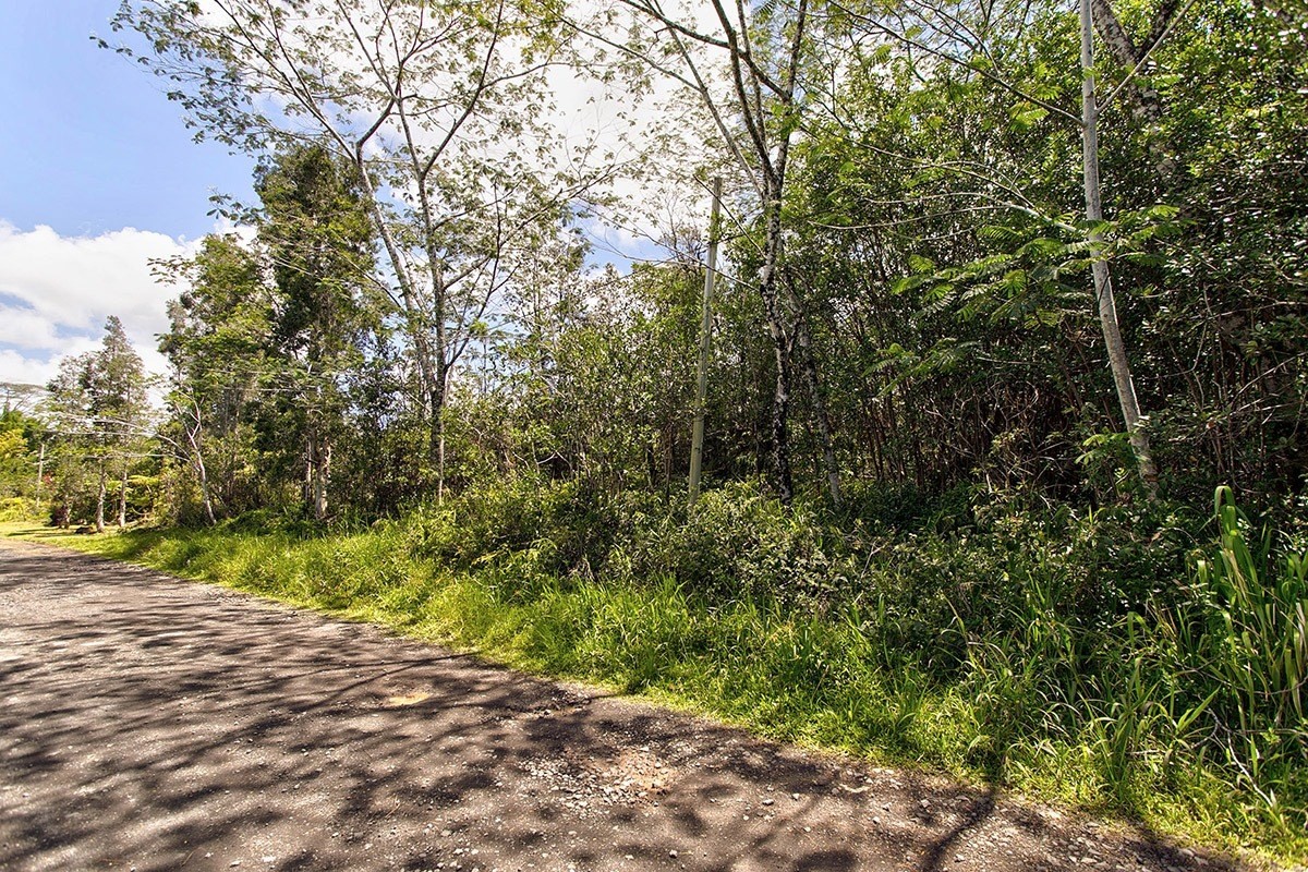 17 40th Avenue Keaau, HI 96749 - Photo 5 of 14 a view of a yard with plants and trees