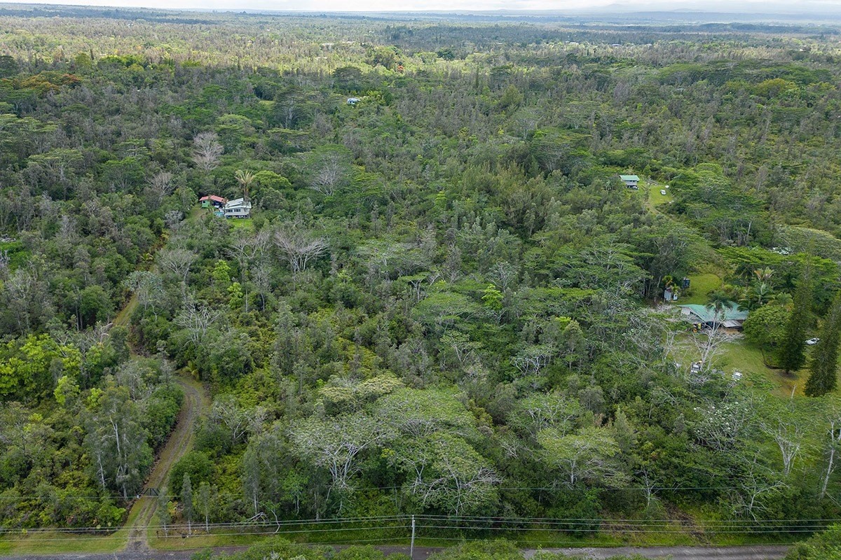 17 40th Avenue Keaau, HI 96749 - Photo 8 of 14 an aerial view of forest