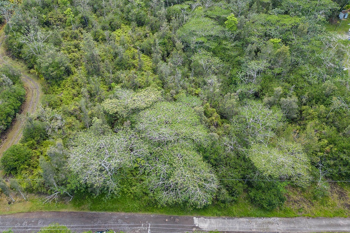 17 40th Avenue Keaau, HI 96749 - Photo 10 of 14
