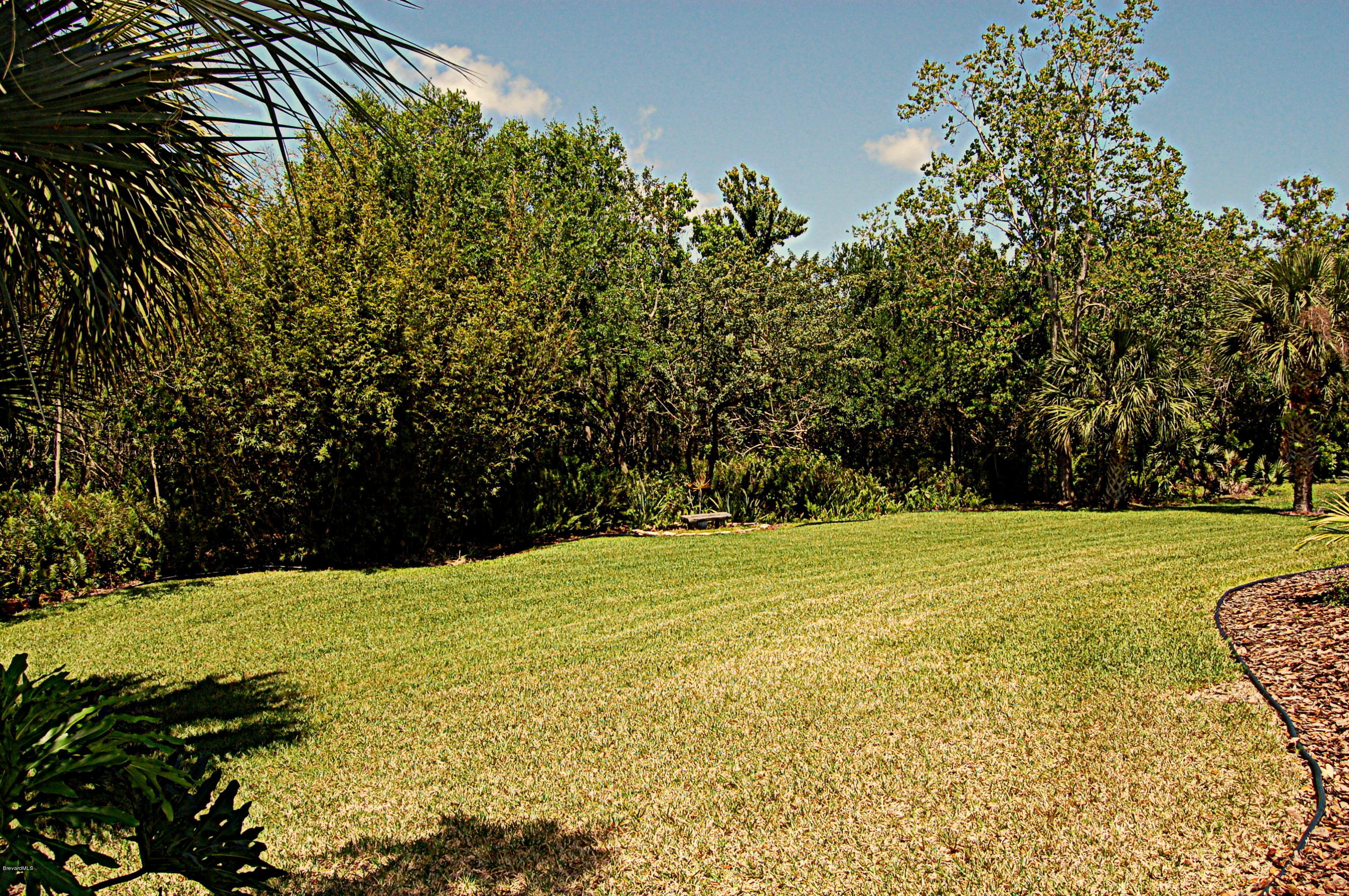 3880 Shady Run Road Melbourne, FL 32934 - Photo 30 of 41 Large Peaceful Backyard
