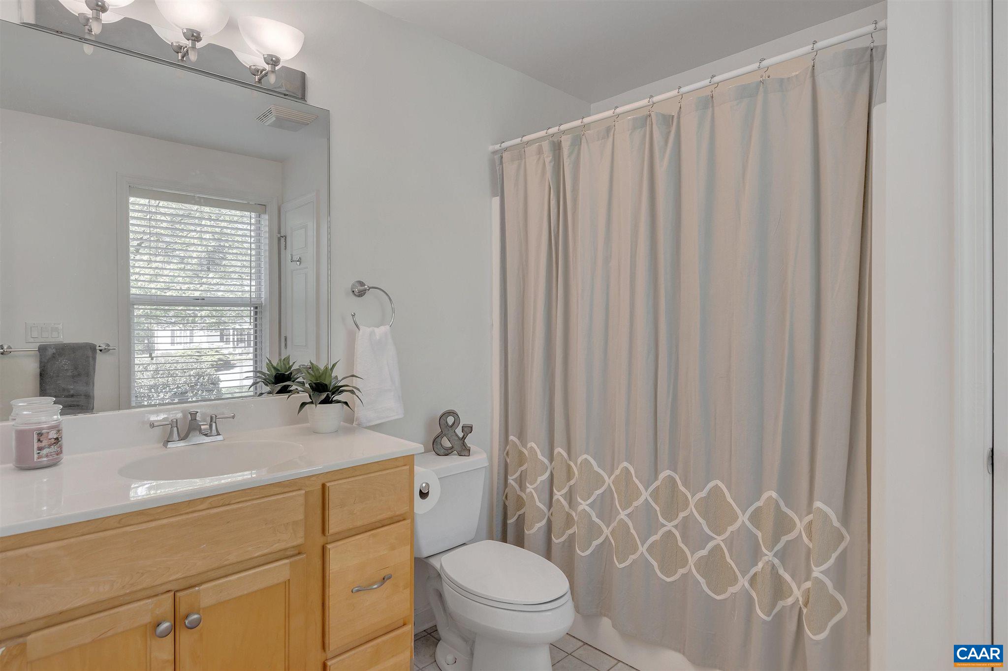 292 Blackthorn Lane Charlottesville, VA 22902 - Photo 31 of 64 a bathroom with a sink a toilet and shower curtain
