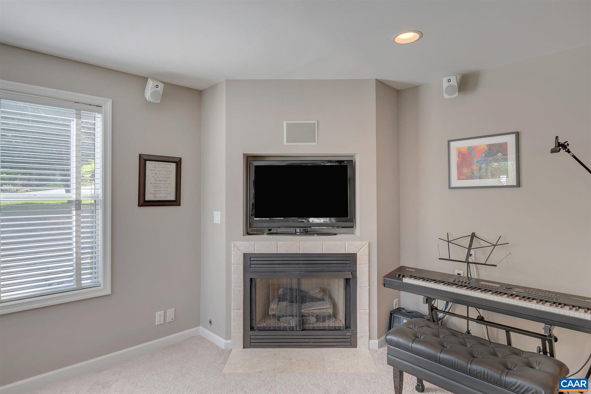 292 Blackthorn Lane Charlottesville, VA 22902 - Photo 38 of 64 a living room with furniture a flat screen tv and a fireplace