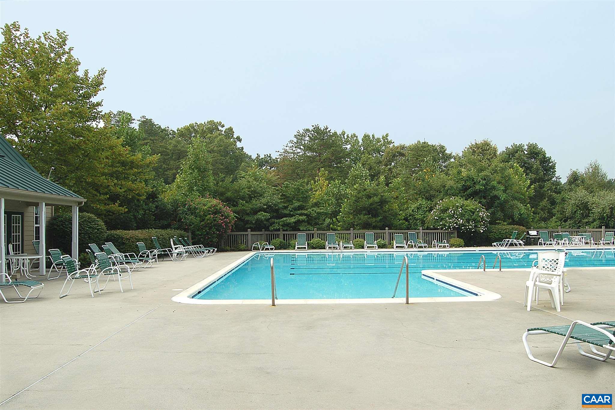 292 Blackthorn Lane Charlottesville, VA 22902 - Photo 53 of 64 an outdoor space with pool and furniture