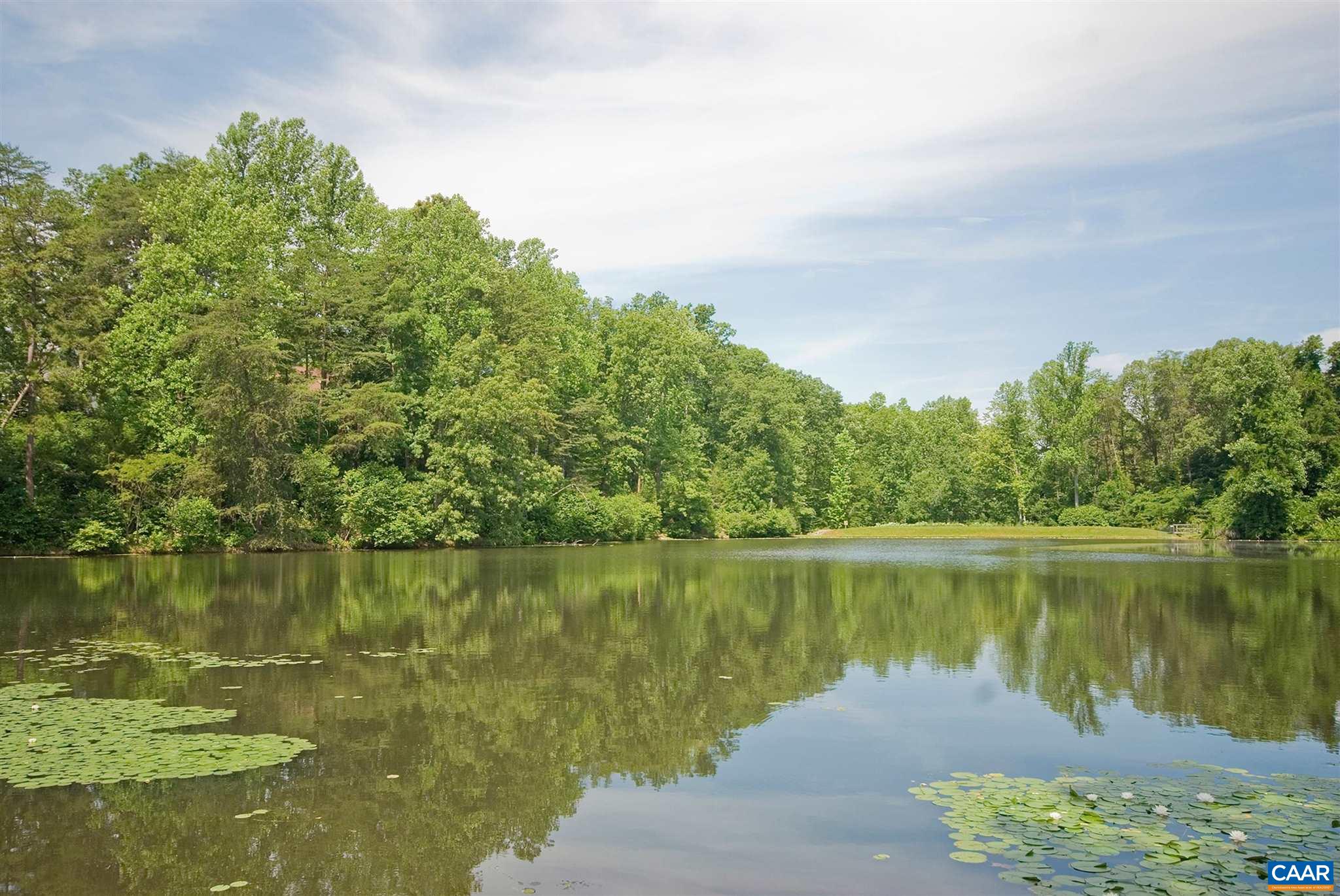 292 Blackthorn Lane Charlottesville, VA 22902 - Photo 57 of 64 a view of a lake in between two large trees