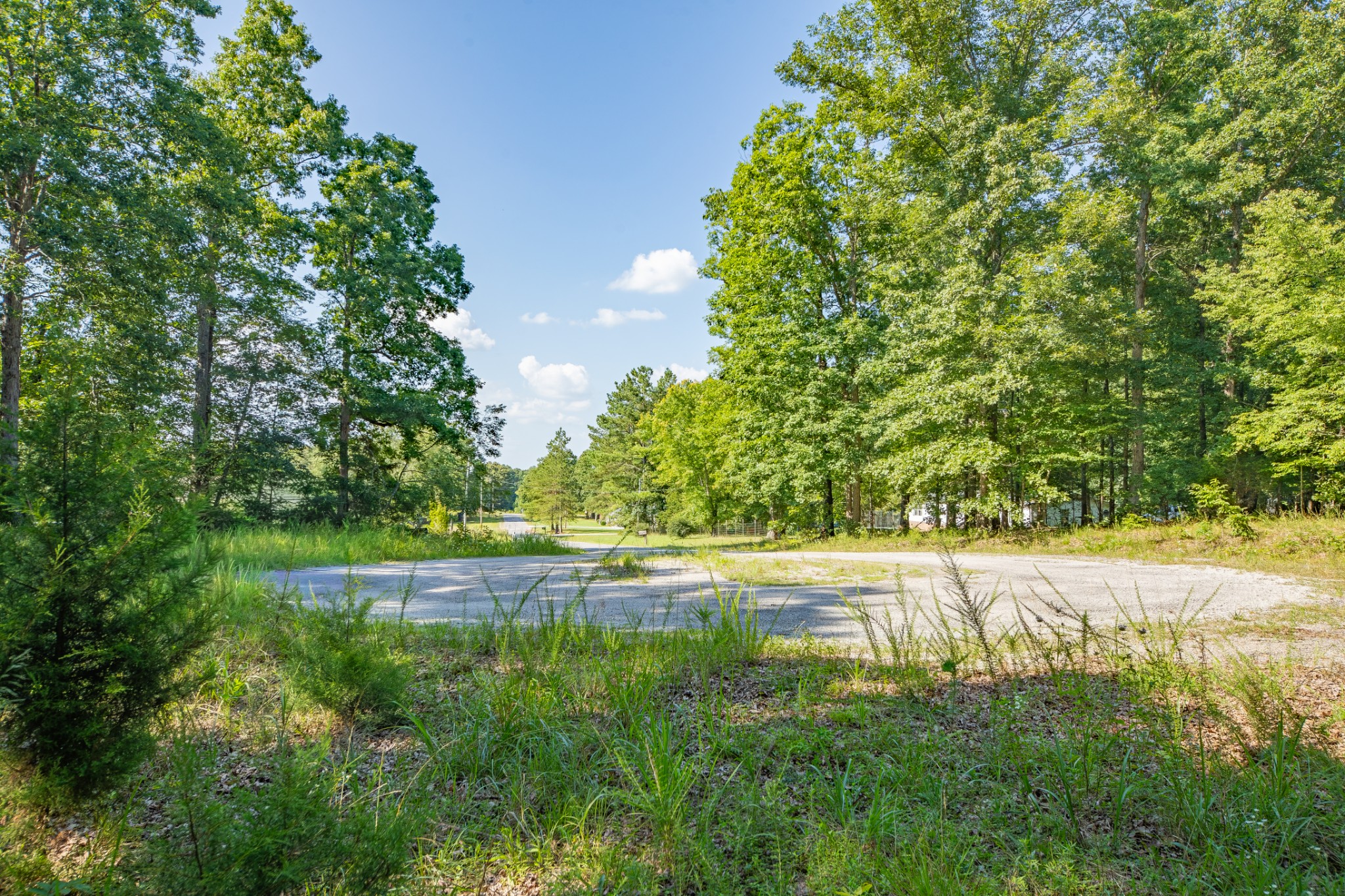 0 Pinewood Road Nunnelly, TN 37137 - Photo 6 of 64 Gallery Image 6