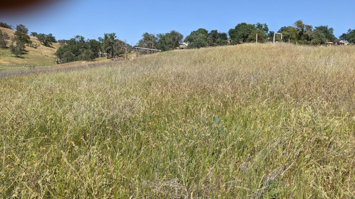 115 George Smith Road Squaw Valley, CA 93675 - Photo 1 of 3 Gallery Image 1