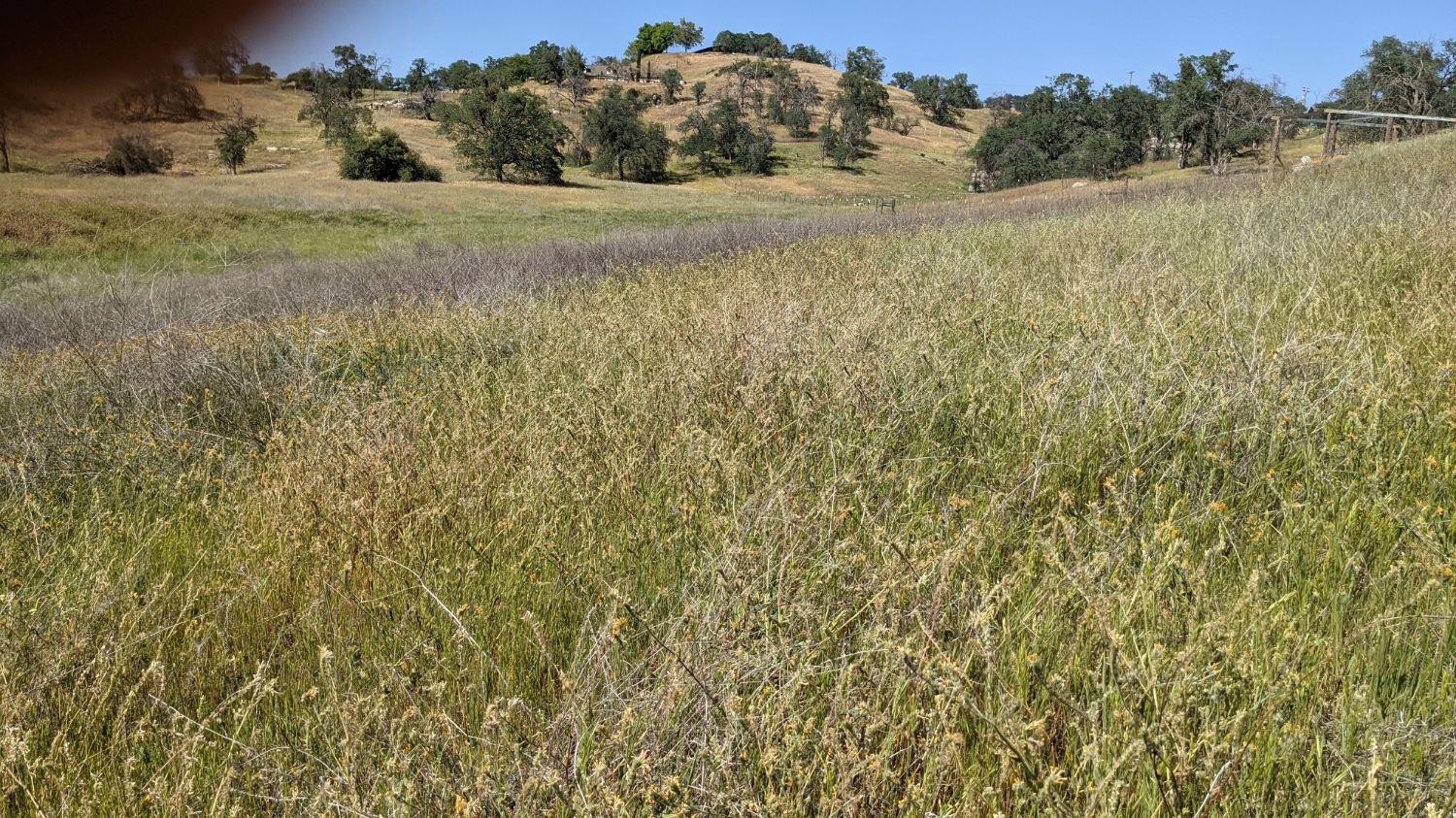 115 George Smith Road Squaw Valley, CA 93675 - Photo 2 of 3 Gallery Image 2
