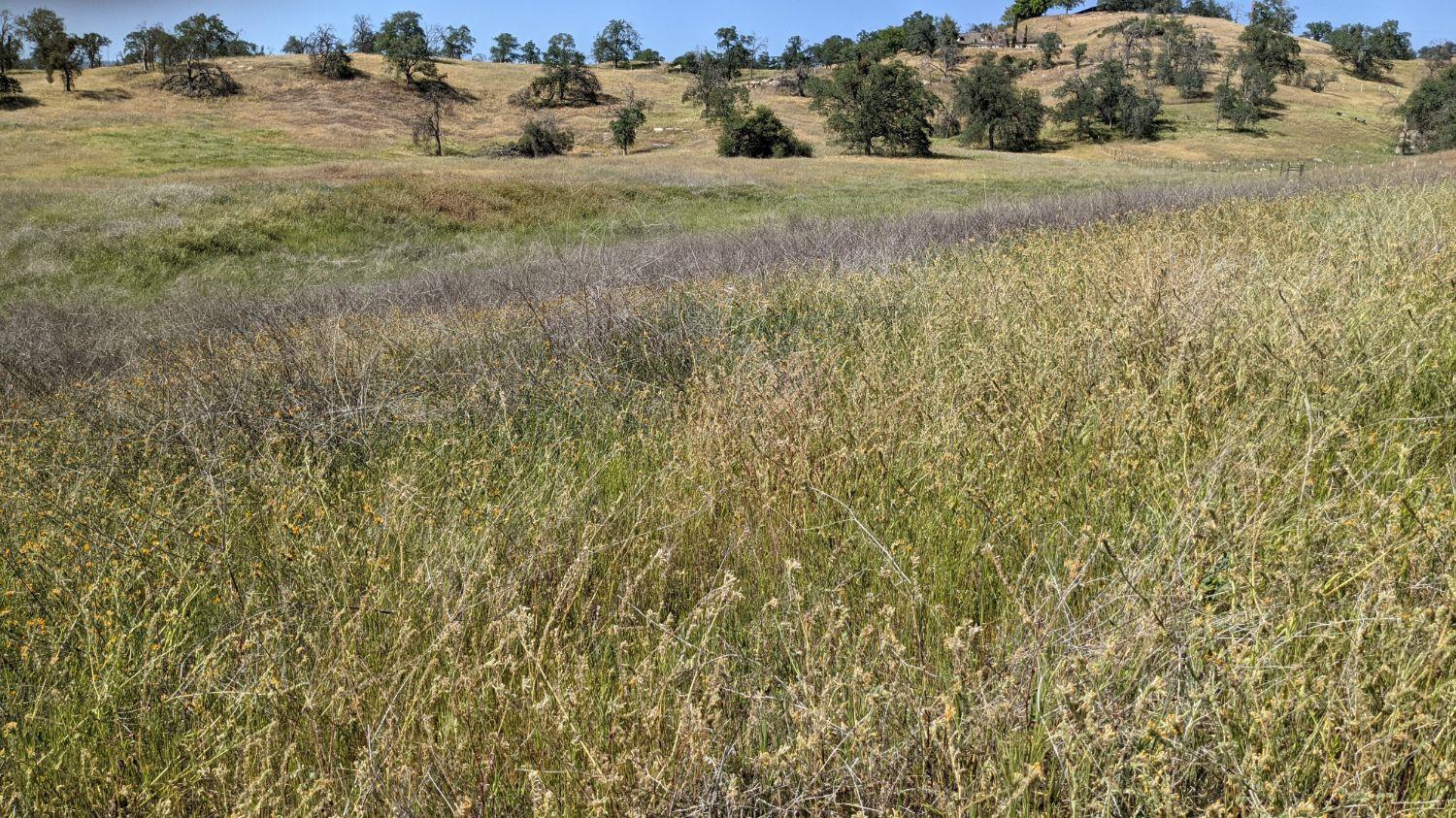 115 George Smith Road Squaw Valley, CA 93675 - Photo 3 of 3 Gallery Image 3