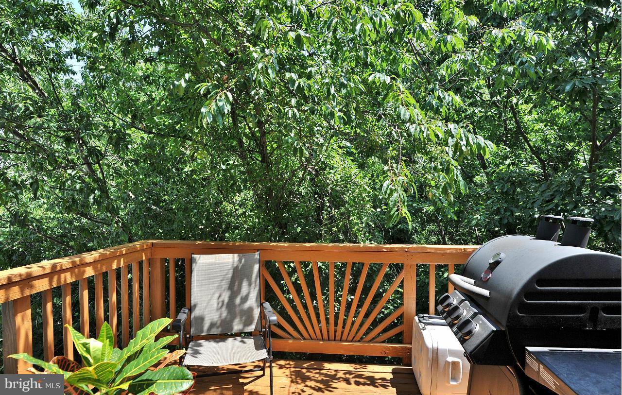 6625 Debra Lu Way Springfield, VA 22150 - Photo 12 of 26 a view of outdoor space with a sitting space