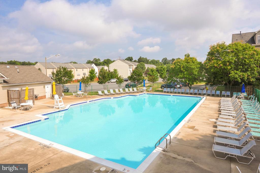 6625 Debra Lu Way Springfield, VA 22150 - Photo 26 of 26 a view of swimming pool with outdoor seating and plants
