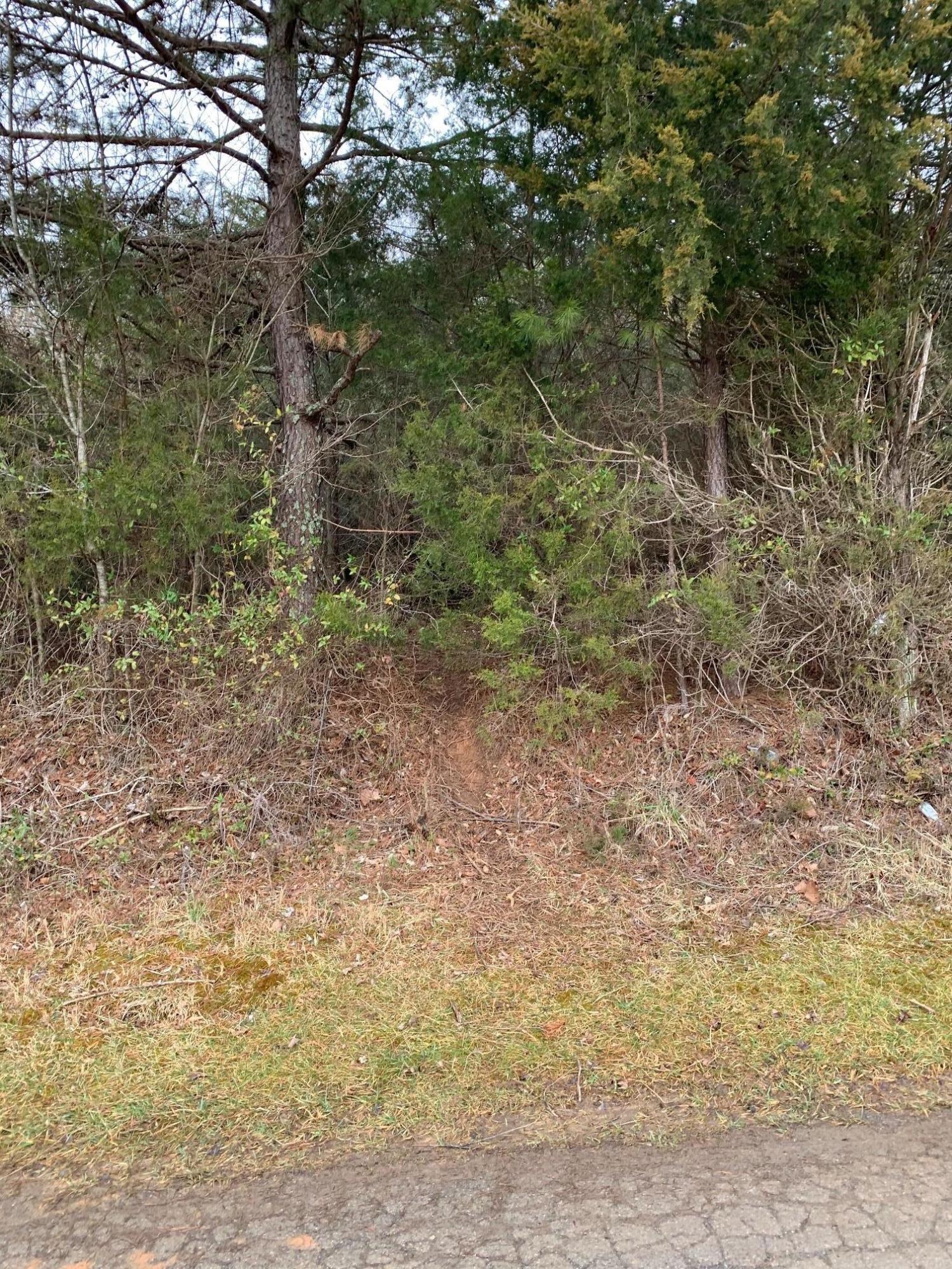 Lot 14 Brantley Acres Road Speedwell, TN 37870 - Photo 5 of 11 IMG_7444