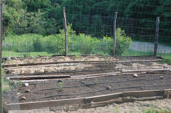 42 Lead Mine Road Southampton, MA 01073 - Photo 18 of 23 Gallery Image 18