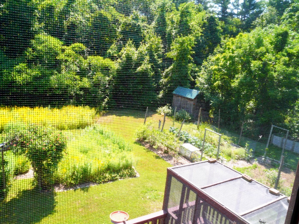 42 Lead Mine Road Southampton, MA 01073 - Photo 2 of 23 Gallery Image 2