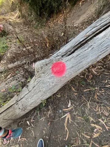 a view of swimming pool with a yard