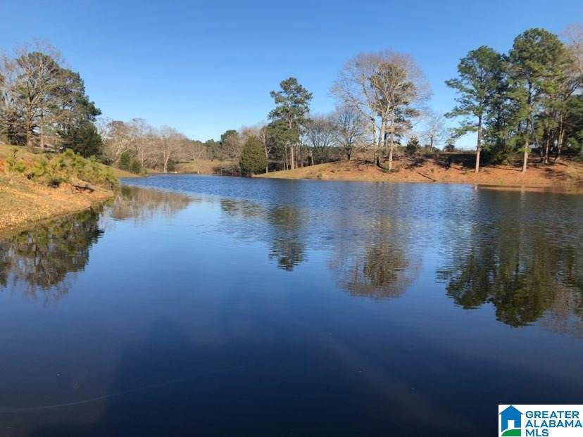 631 County Road 16 Clanton, AL 35045 - Photo 11 of 41
