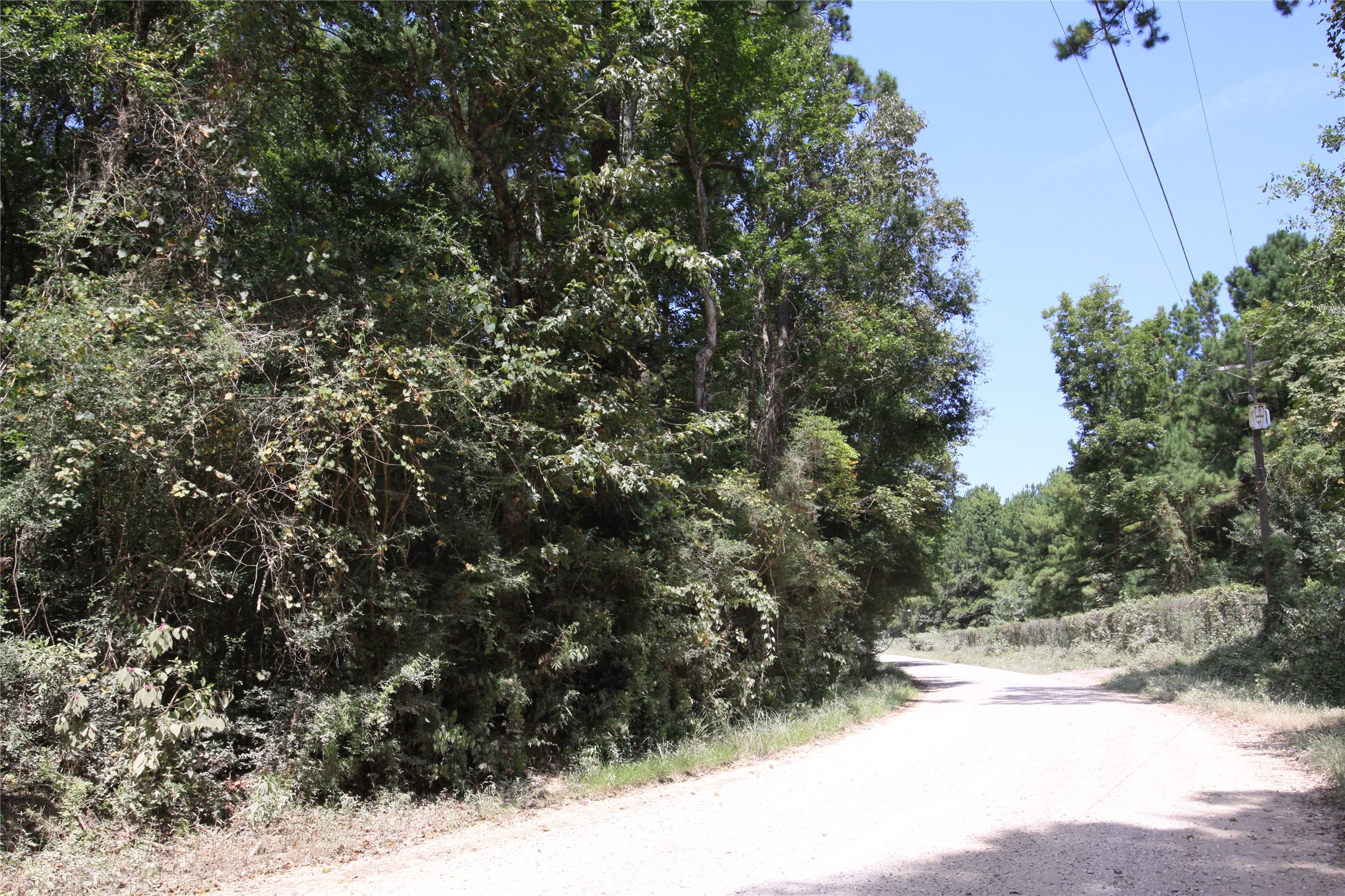 Tbd Garcia Road Batson, TX 77519 - Photo 4 of 9 Gallery Image 4