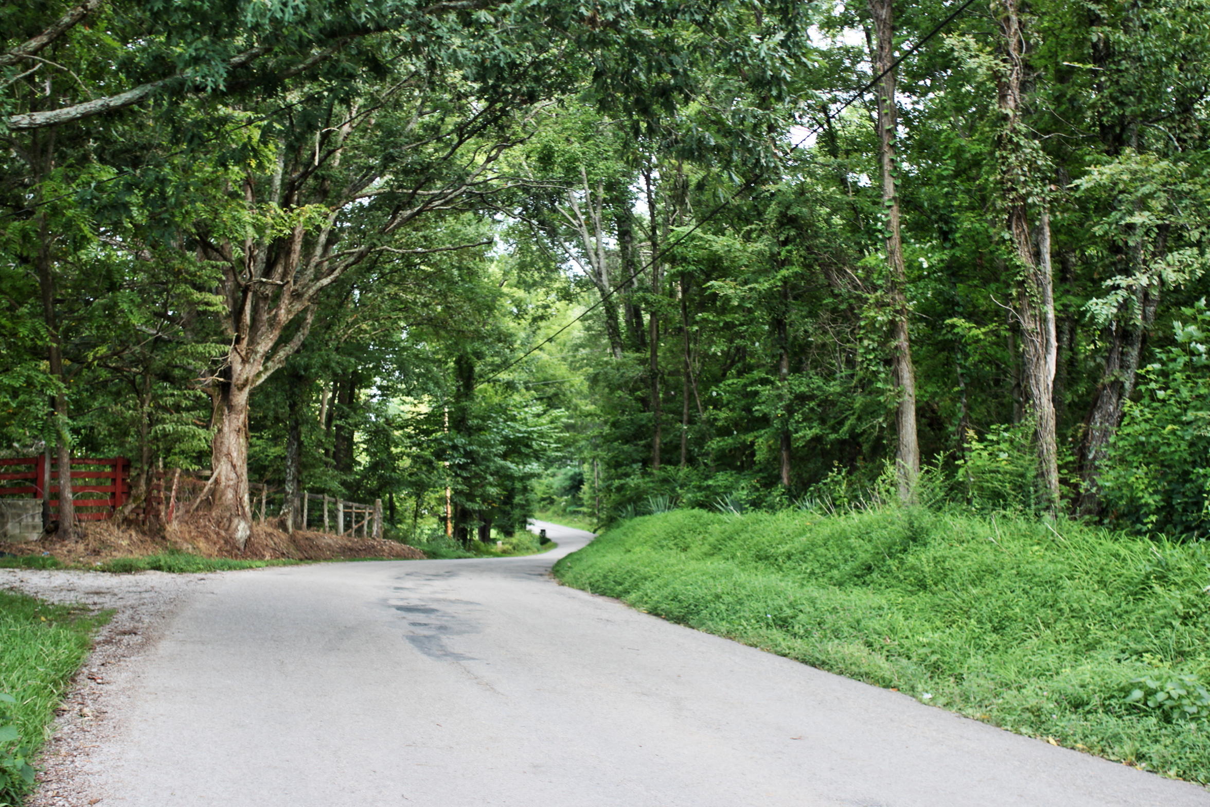 13-acres Gouldstown Road Jamestown, TN 38556 - Photo 10 of 10 Roadside View