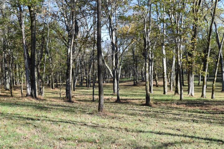 1655 Bob Davis Road Lewisburg, TN 37091 - Photo 11 of 27 Gallery Image 11
