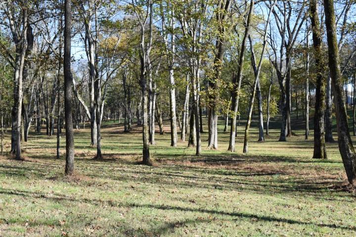1655 Bob Davis Road Lewisburg, TN 37091 - Photo 13 of 27 Gallery Image 13